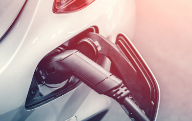 Electrical vehicle